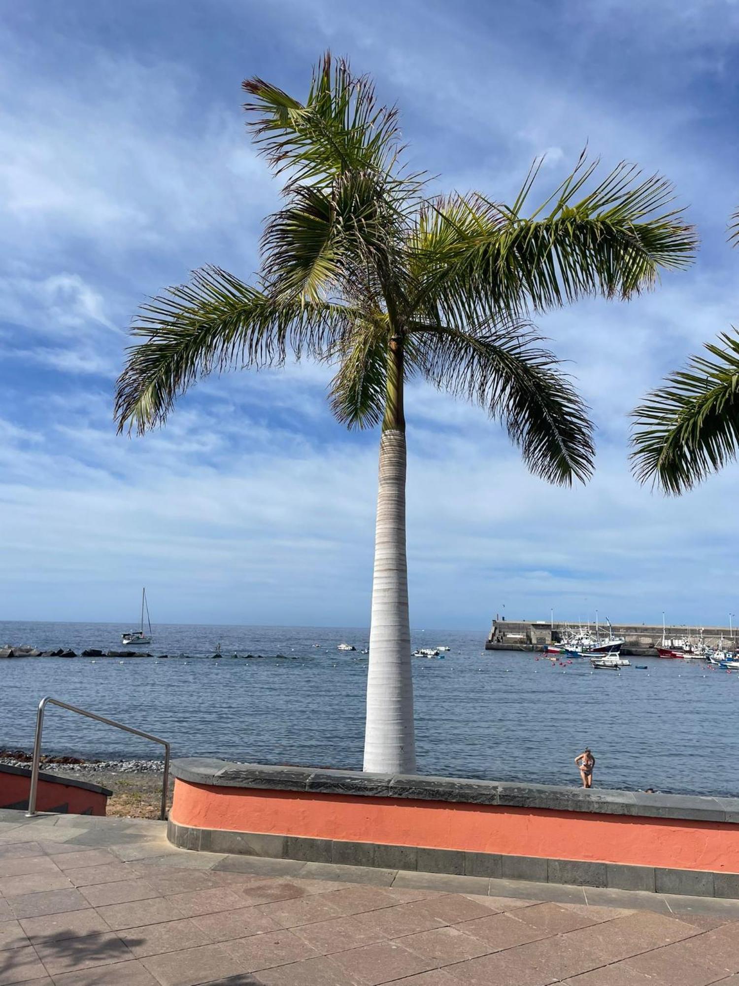 Seaside Paradise - 2 Bedroom Apartment With Ocean Views & Air Conditioning In Playa San Juan Exteriér fotografie